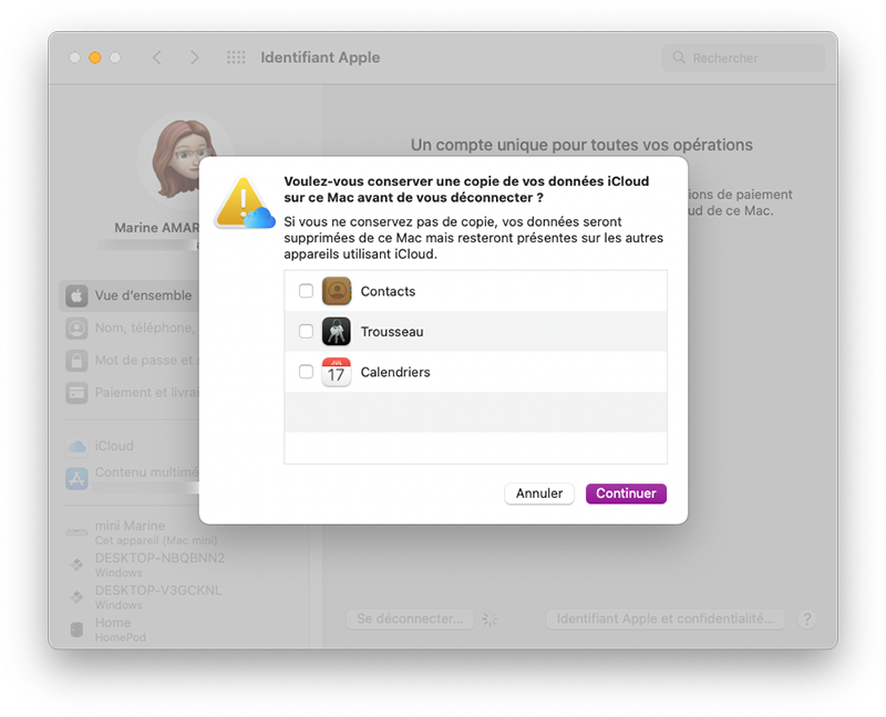 mac preferences systeme se deconnecter icloud apps