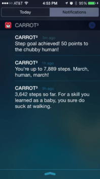 carrotfit_2