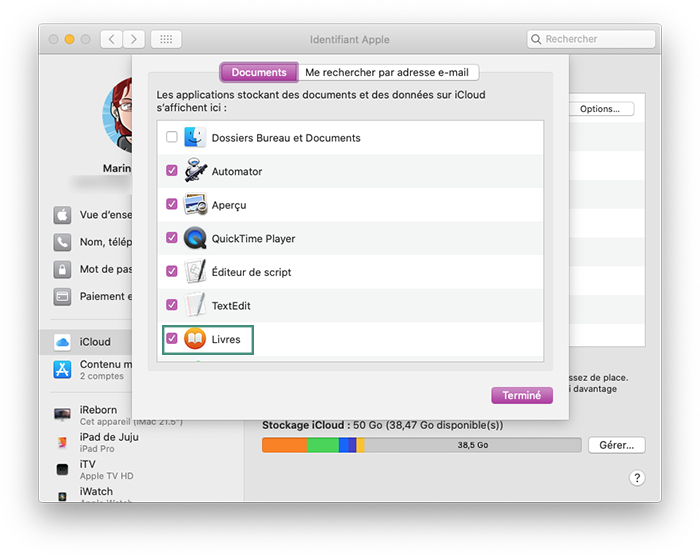 Activez iCloud Drive et Livres sur Mac pour transférer des iBooks vers votre ordinateur