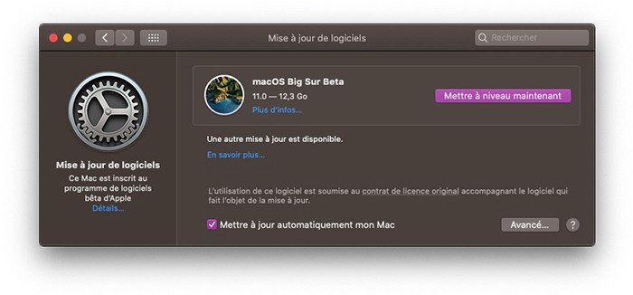 mac installer beta big sur