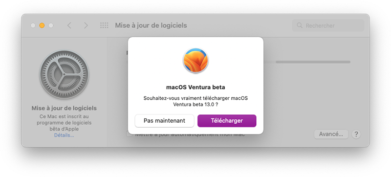 mac installer macos ventura beta