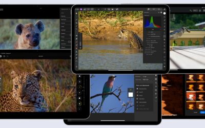 Les meilleures applications de retouche photo pour votre iPad